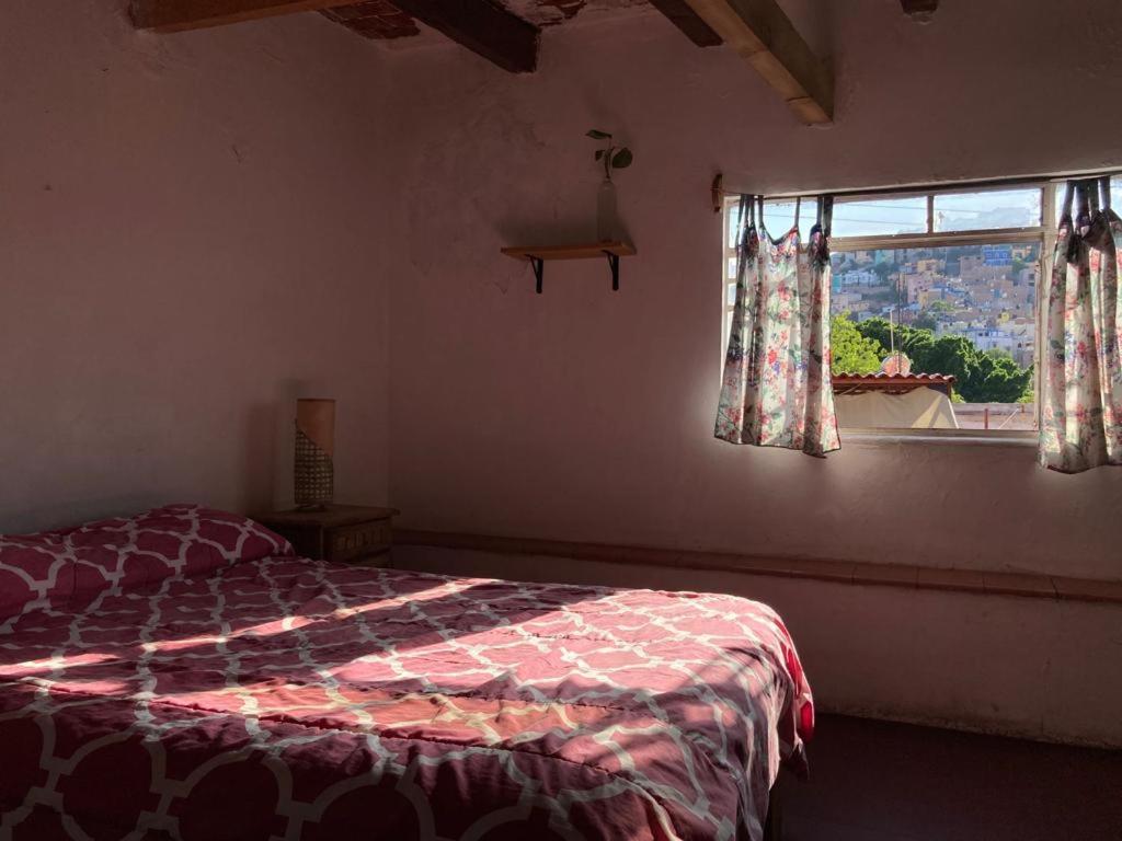 Hostalito Casa Alebrije Guanajuato Esterno foto