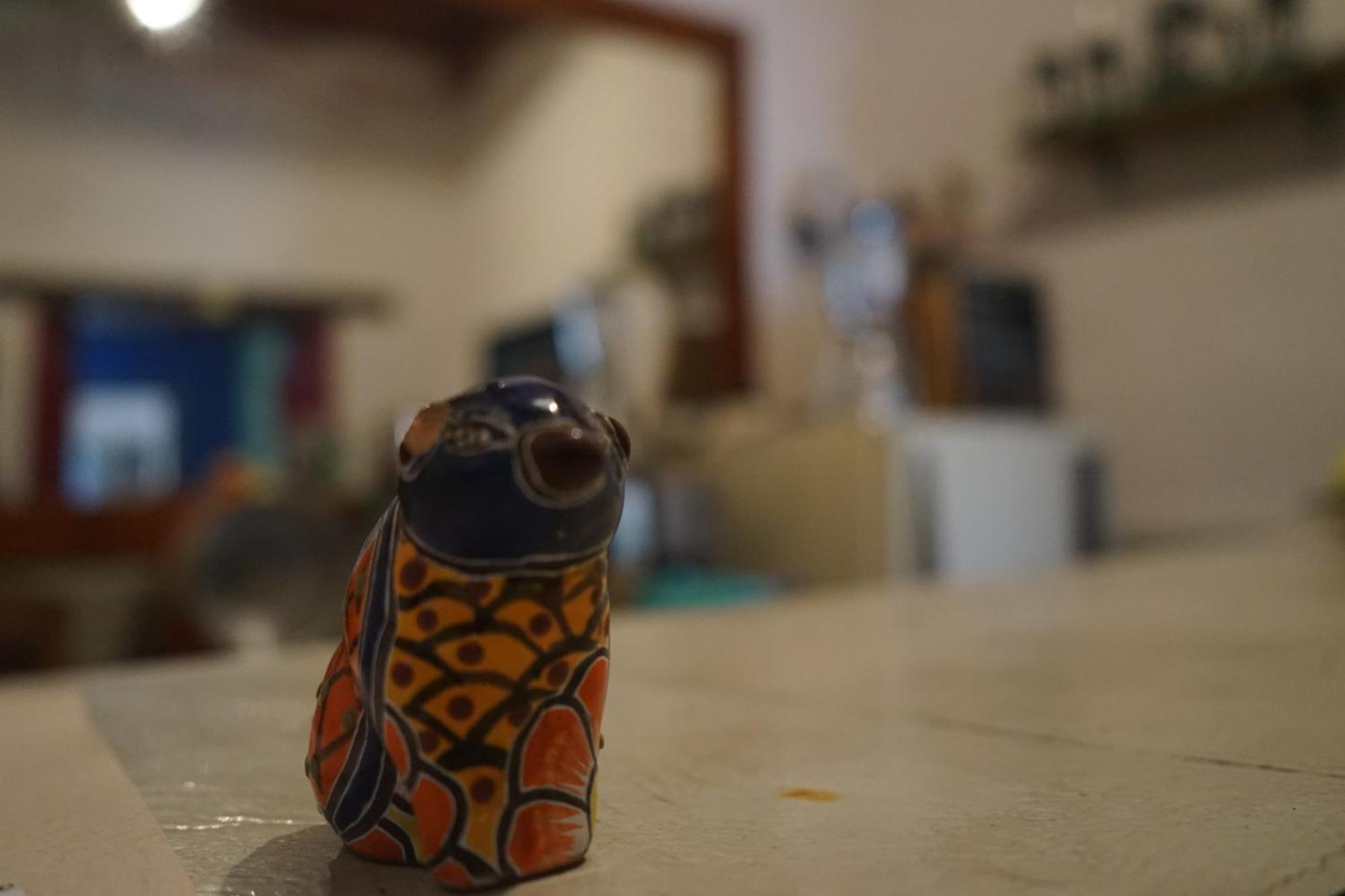 Hostalito Casa Alebrije Guanajuato Esterno foto